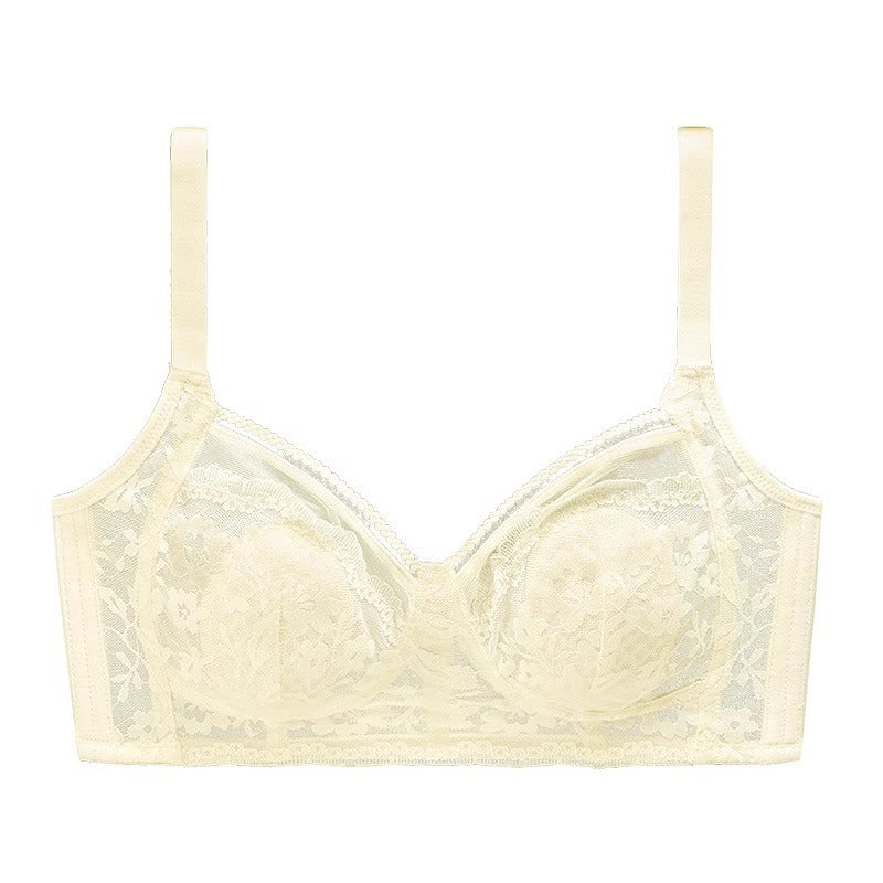 Lace Breast Holding Underwear Female Breasts Bras