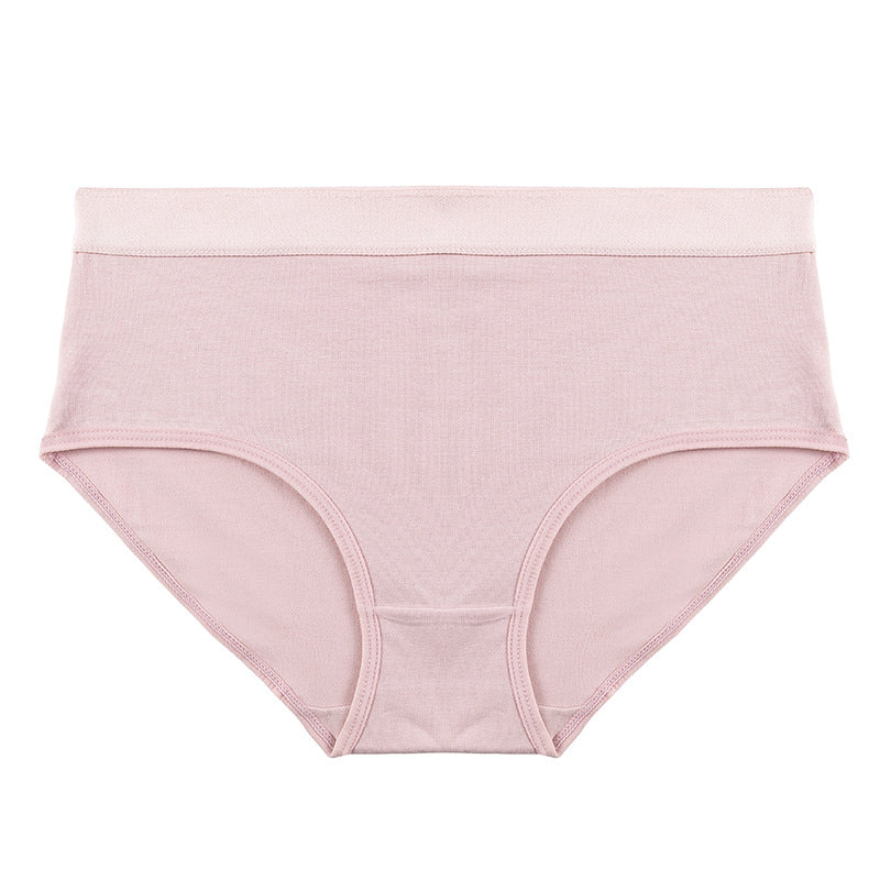 Cotton Underwear Lady Sexy All Beautiful Panties