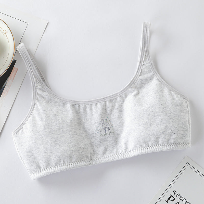Vest Female Underwear Older Primary School Bras
