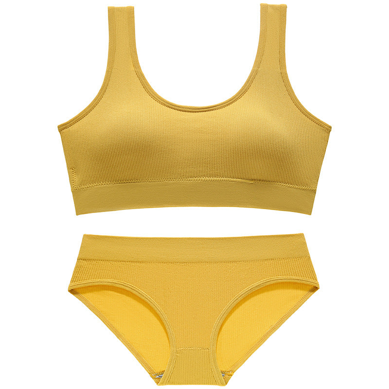 Women's Small Thin Wireless Push Up Sexy Lingerie Sets