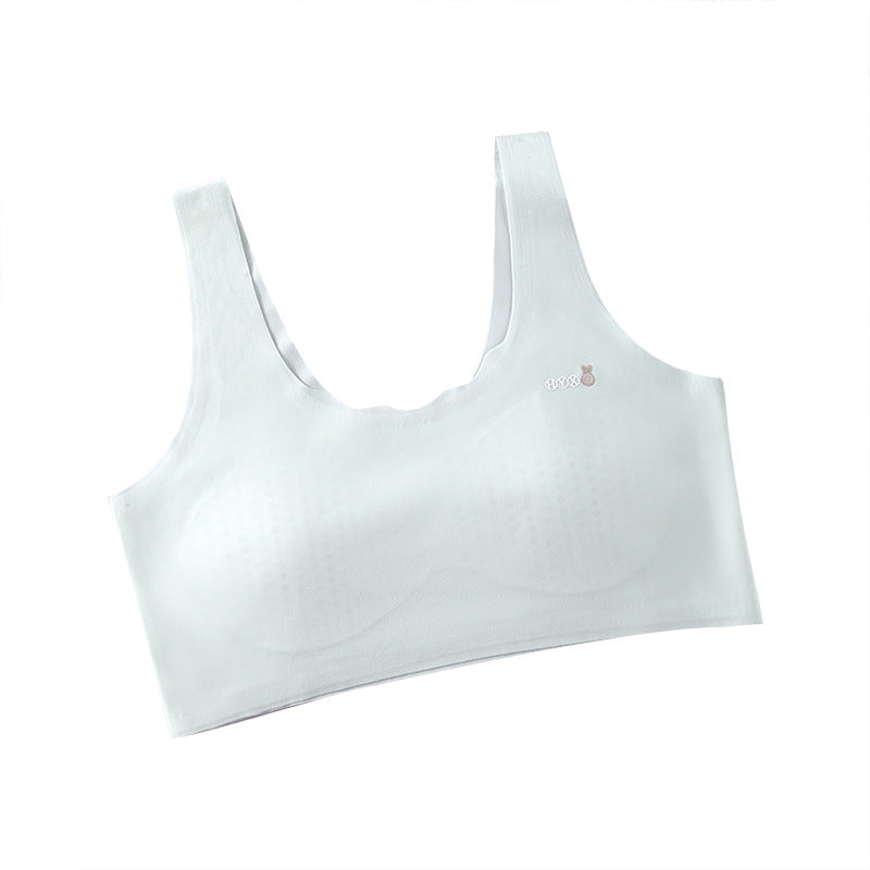 Seamless Beautiful Back Breathable Tube Top Bras