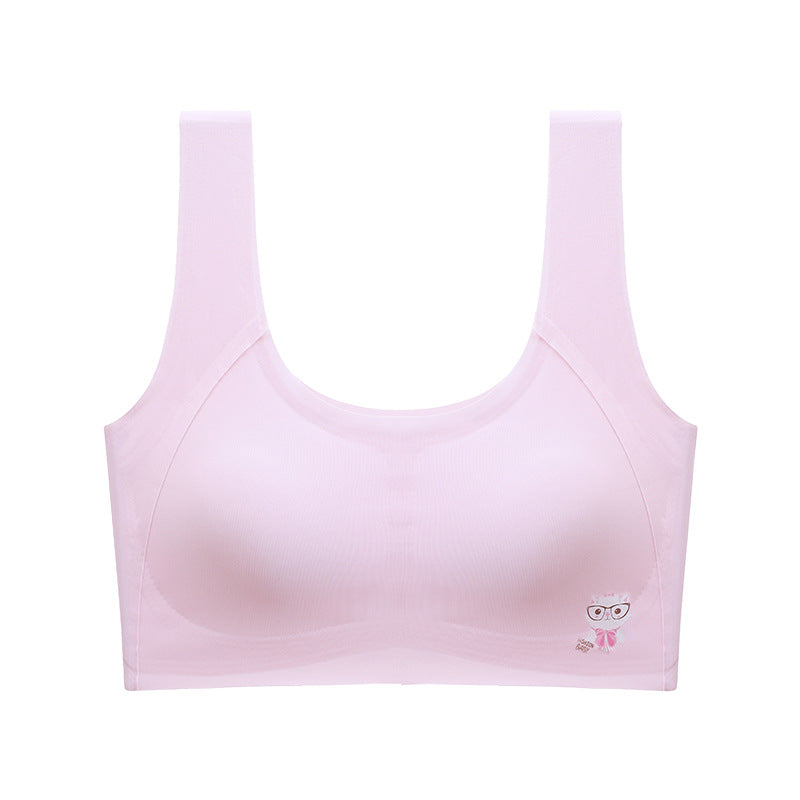 Developmental Junior High School Big Underwear Bras