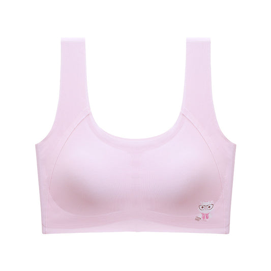 Developmental Junior High School Big Underwear Bras