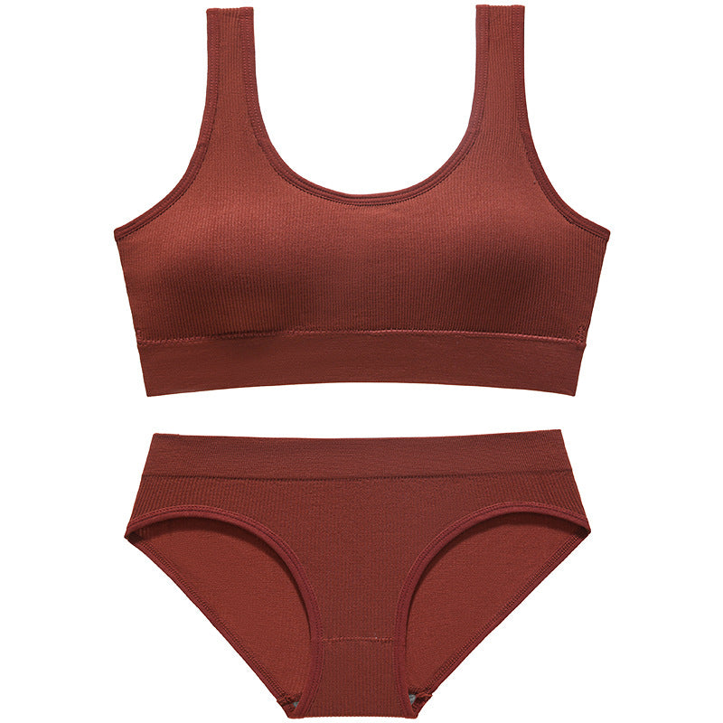 Women's Small Thin Wireless Push Up Sexy Lingerie Sets
