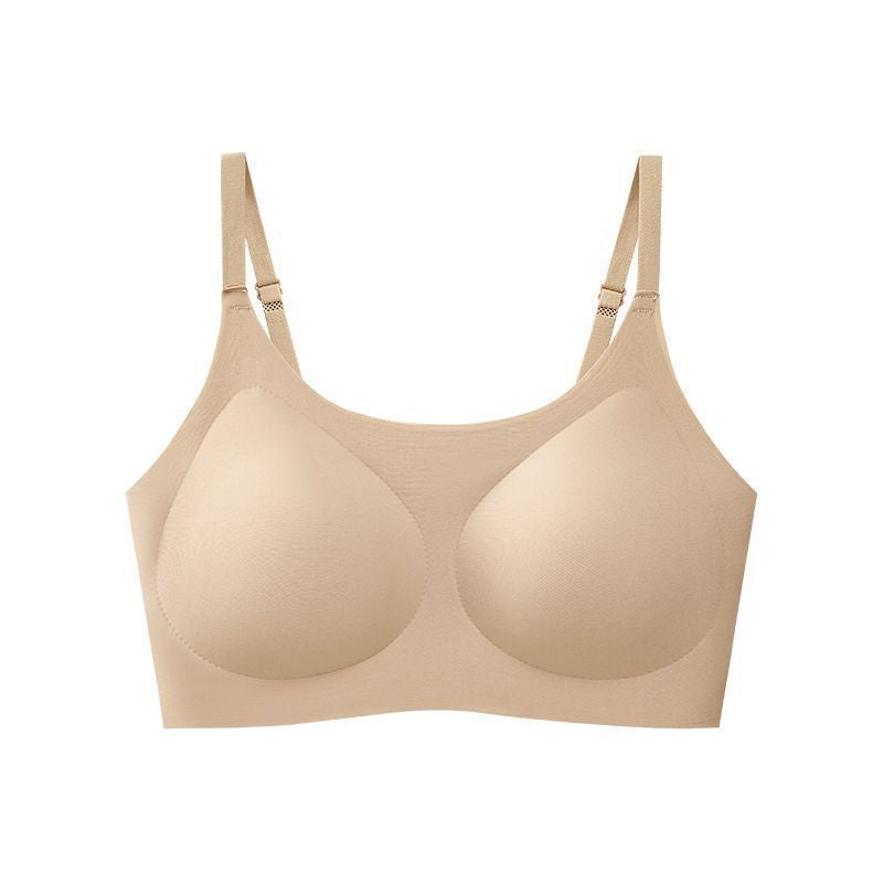Chest Pad Fixed Cup Push Up Pull Everyday Bras