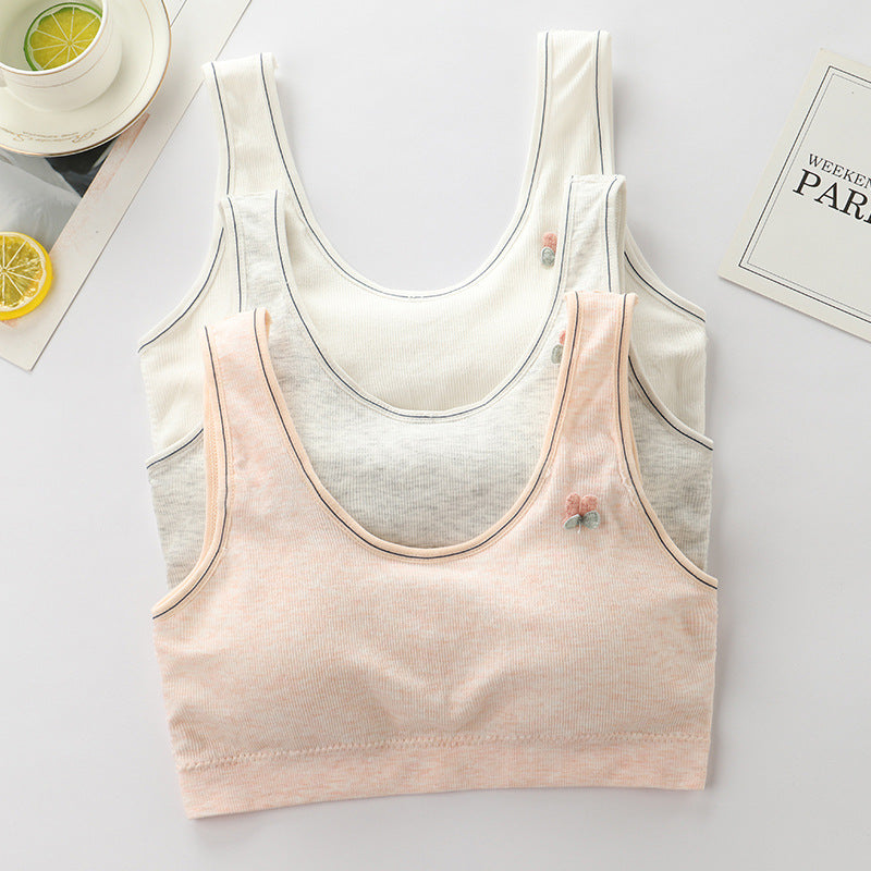 Children's Underwear Junior High School Female Older Development Period Bras