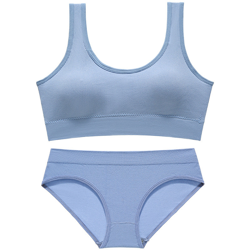 Women's Small Thin Wireless Push Up Sexy Lingerie Sets