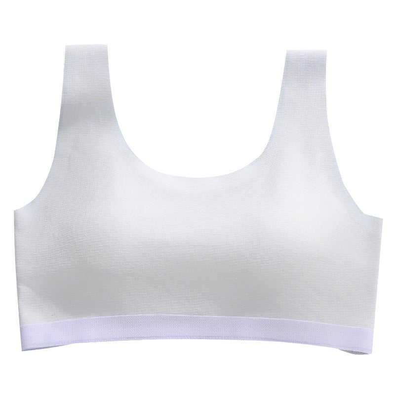 Junior High School Middle Development Period Bras