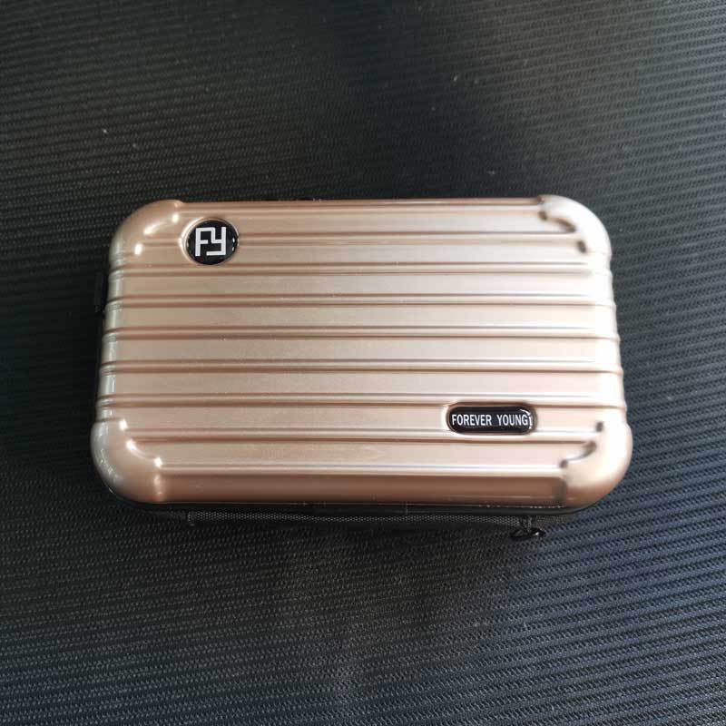Hard Shell Waterproof Wash Suitcase Portable Cosmetic Bags