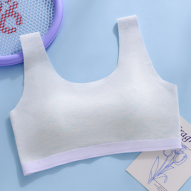 Junior High School Middle Development Period Bras