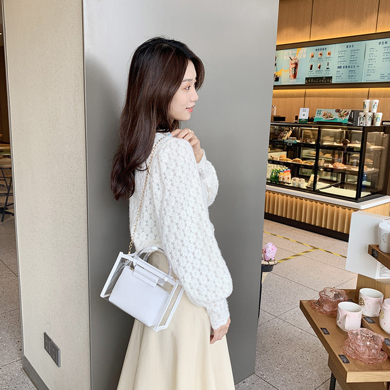 Women's Mother Two-piece Set Transparent Chain Shoulder Bags