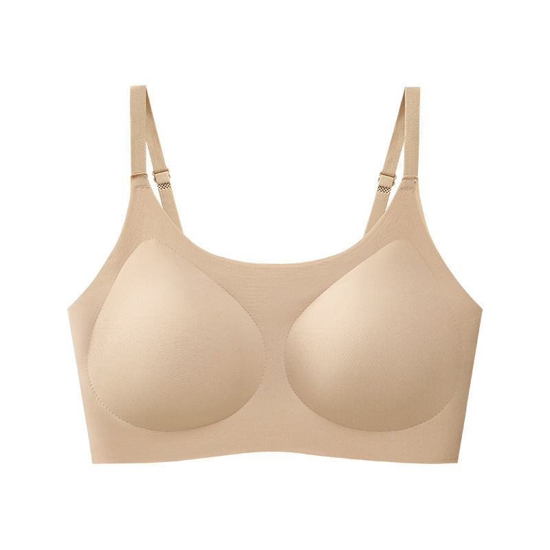 Chest Pad Fixed Cup Push Up Pull Everyday Bras