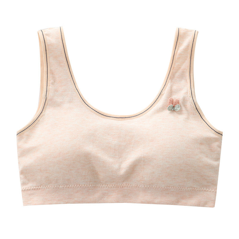 Children's Underwear Junior High School Female Older Development Period Bras