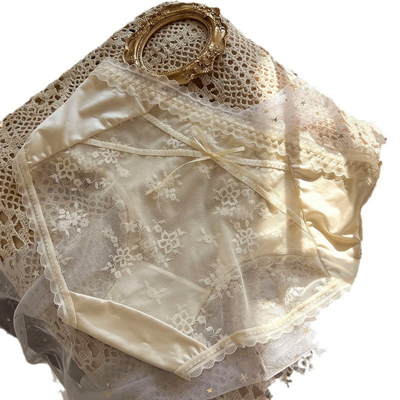 Women's Desire Silky Hip Embroidered Printed Mesh Sexy Panties
