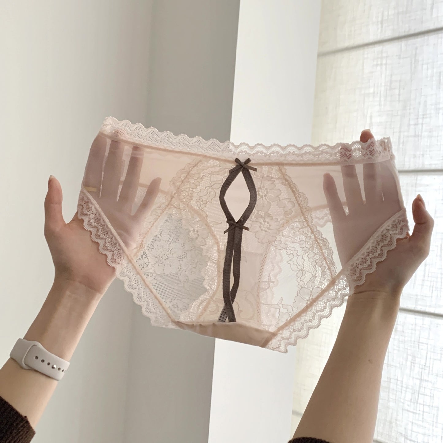 Women's Clear Mesh Contrast Color Texture French Lace Back Panties