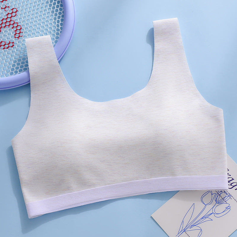 Junior High School Middle Development Period Bras