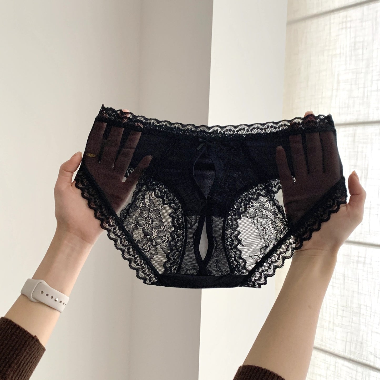 Women's Clear Mesh Contrast Color Texture French Lace Back Panties