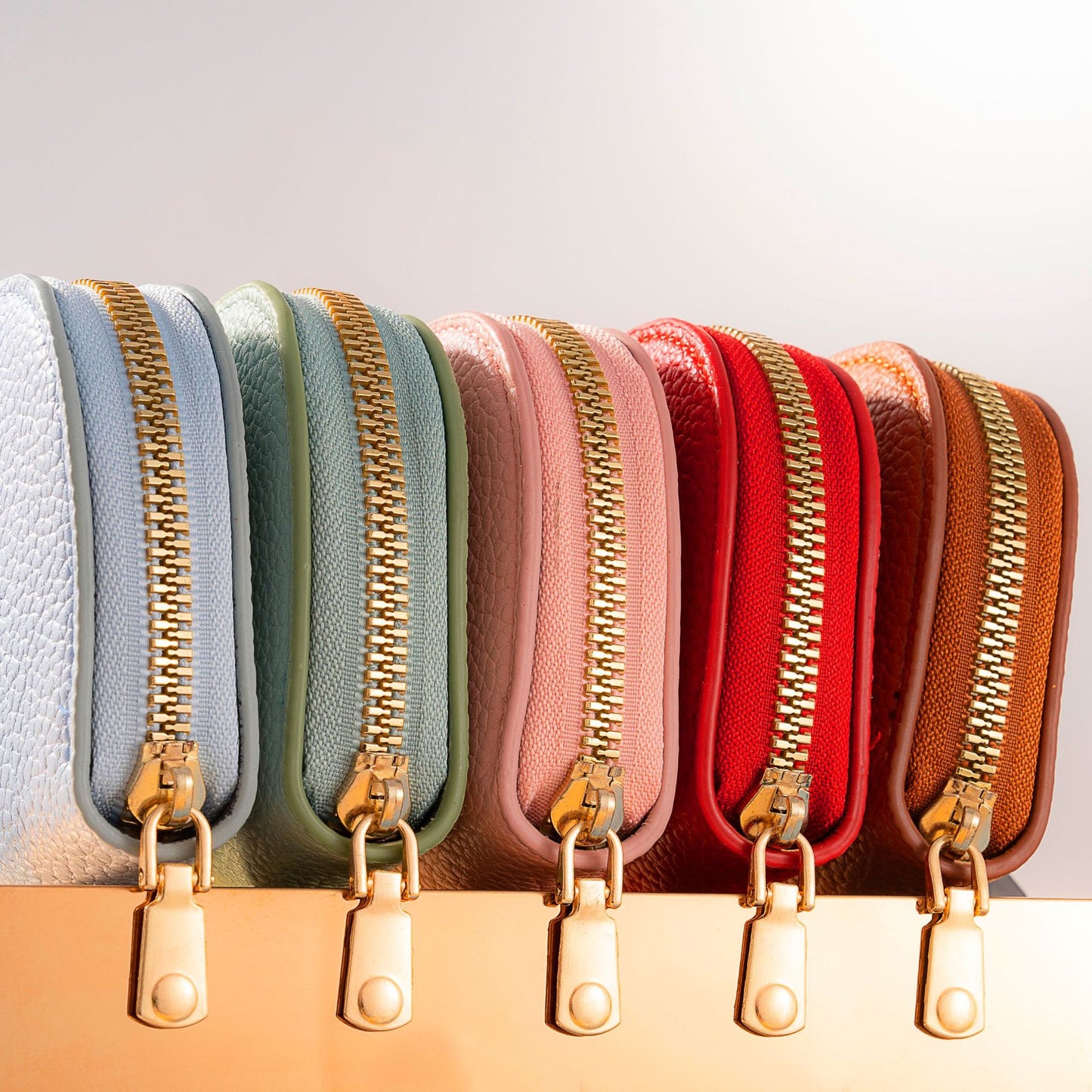 Style Fresh Shell Semicircle Expanding Multiple Card Holder